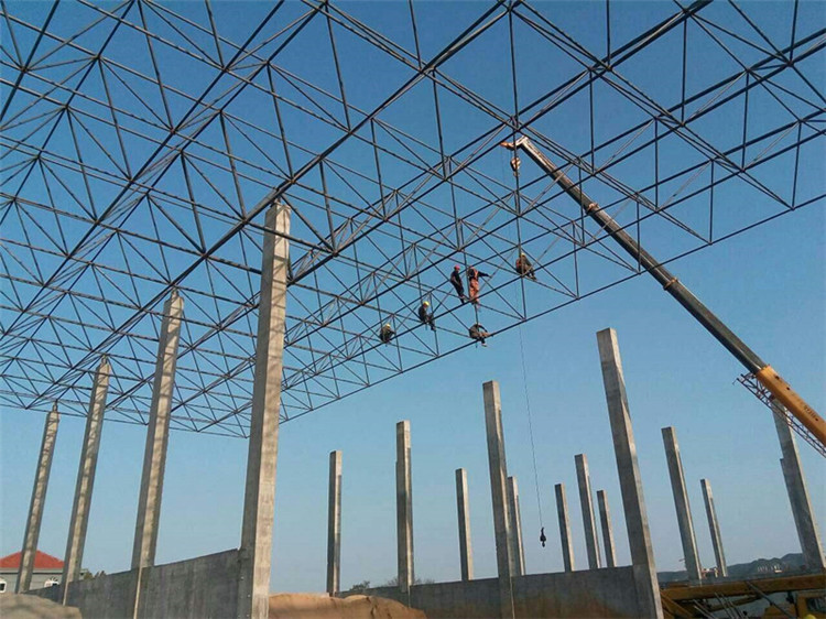 郴州加气站钢结构网架案例10